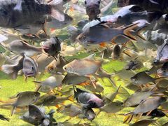 -多彩贵州城极地海洋世界