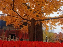 -红螺寺