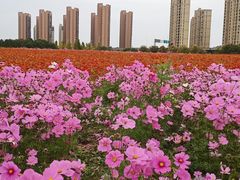 -映月湖中央公园