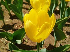 -长春公园(普阳街道)