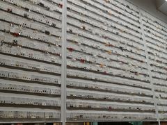 -KKV(深圳宏发大仟里店)