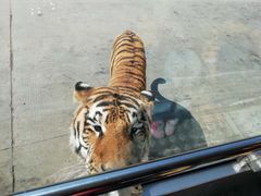 -西安秦岭野生动物园