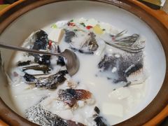 -全乐鱼馆·淳牌有机鱼直营店