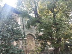 -湖北中医药大学(昙华林校区)