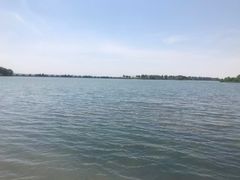 -贡湖湾湿地公园