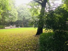 -西湖天地