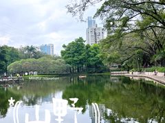 -晓港公园