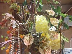 -BEAST野兽派(上海浦东嘉里城店)