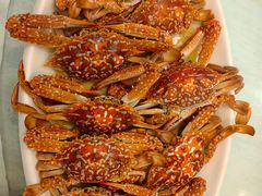 -庭苑美食中心·陈皮烧鹅·海鲜(台山店)