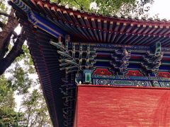 -嵩山少林文化旅游景区