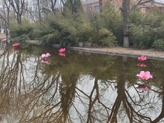-桃花堤公园