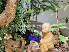 -漫笙舍Manse·咖啡·民宿