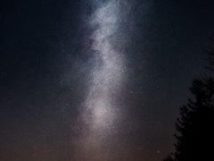 -维乐口腔医院(星海湾分院)