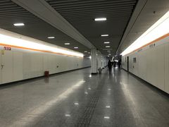 -杨高南路(地铁站)