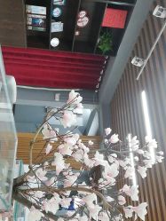 点击看大图 -素合写真摄影(合肥原创店)