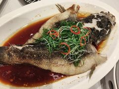 -新雅粤菜馆(南京东路店)