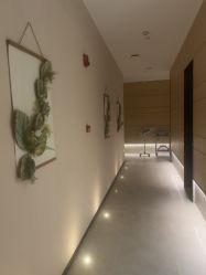 -恒美雅轩·品牌直营连锁