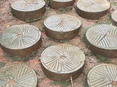 -西双版纳基诺山寨