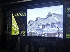 -西双版纳原始森林公园