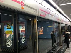 -大龙山(地铁站)