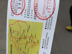 -东湖落雁景区
