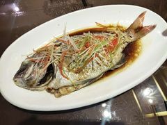 -福来齐·鲁菜海鲜·渔家菜(朝阳街分店)