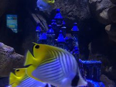 -成都浩海立方海洋公园