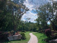 -上海佘山国家森林公园天马山园