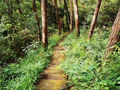 -青龙山国家森林公园