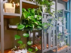 -老陈家擀面皮(平凉路店)