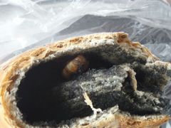 -苹果花园(金耀南路店)