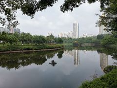 -深圳龙潭公园