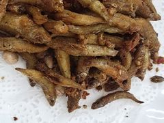 -柳周农家菜特色老店沙田柚美食(东大街店)