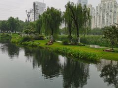 -西北湖绿化广场