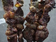 -劳动公园新疆人烤腰子