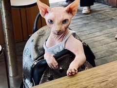 -深圳海边小筑客栈