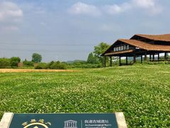 -良渚古城遗址公园