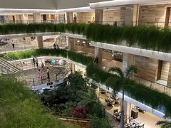 -广州白天鹅宾馆