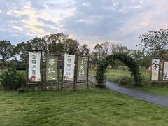 -动邦皮划艇·桨板·独木舟·团建户外运动俱乐部