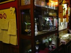 -一叶一世界•素食餐厅(环球中心店)