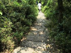 -杭州半山国家森林公园