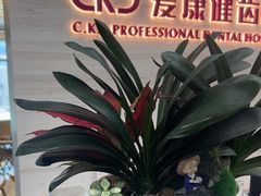 -希玛爱康健口腔(南山海岸城店)