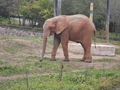 -哈尔滨北方森林动物园