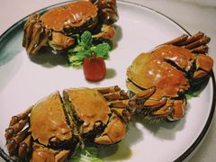 -江南大院松鼠桂鱼(奉贤宝龙店)