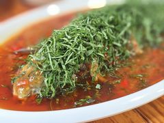 -老字号怡玺·藿香雅鱼(20年雅安店)