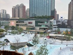 -花潮料理艺食馆(成都万象城店)