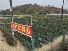 -凤岗南门山森林公园