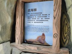 -杭州长乔极地海洋公园