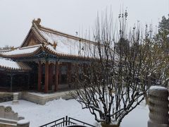 -颐和园