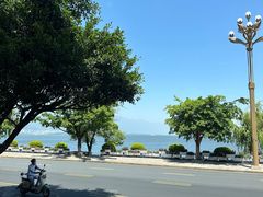 -野菌皇海景野生菌火锅(滨海大道店)